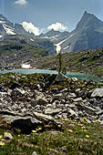 Alpe Veglia - Lago del Bianco (2157 m s.l.m.). 